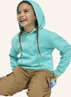 ADIDAS MINECRAFT TERREX HOODIE