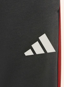 AUDIREVOLUTF1TEAMDNAHOSE