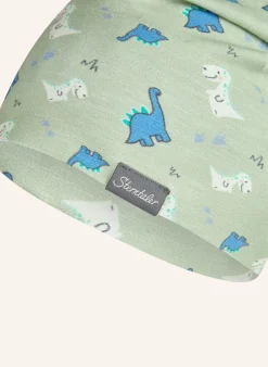 Beanie Dinobabys