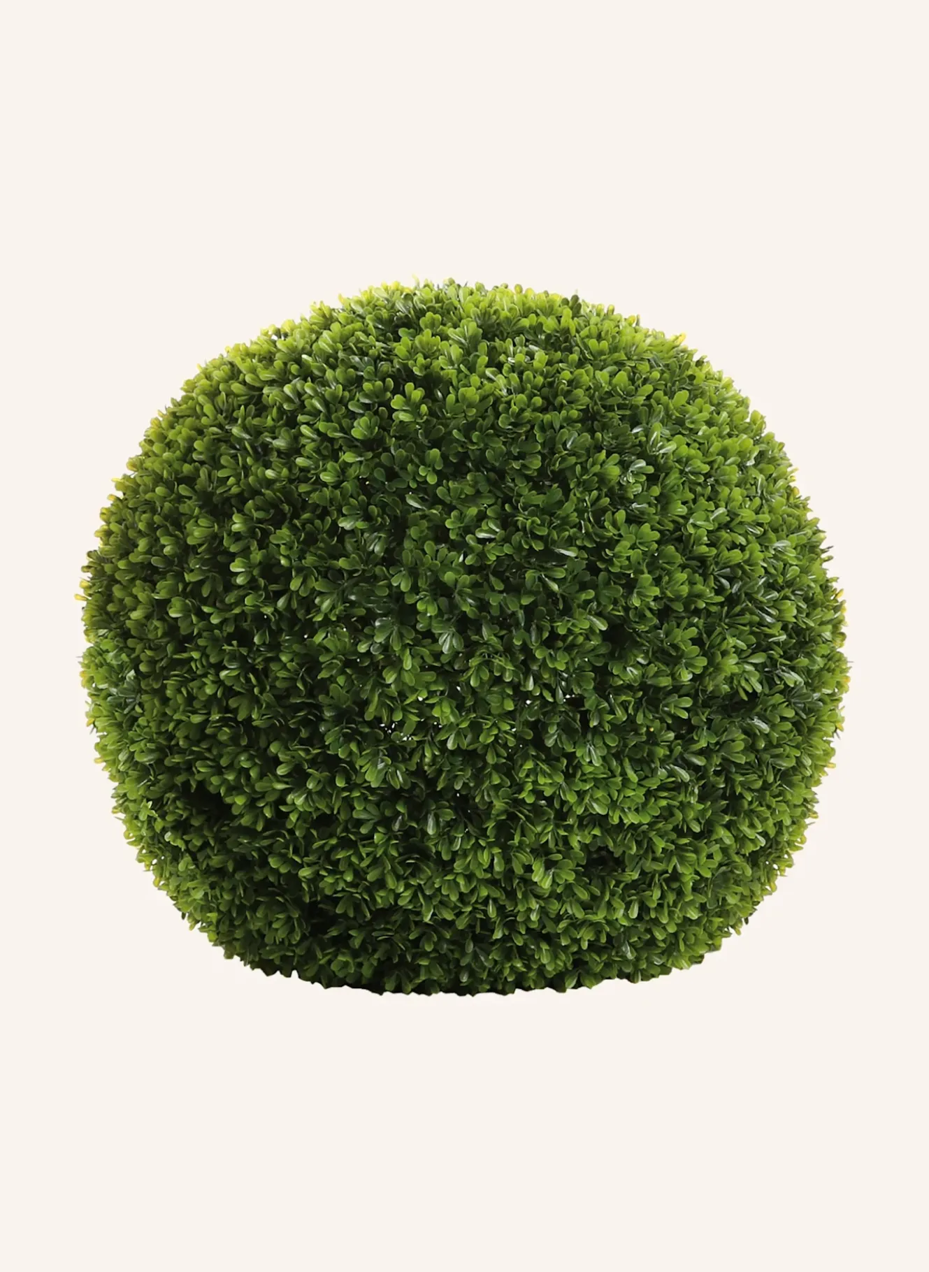 Buchskugel BUXUS