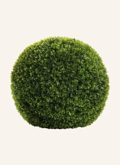 Buchskugel BUXUS