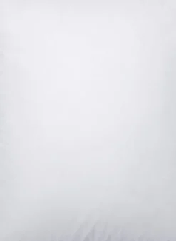 Daunenkissen SELECTION SILBER WEICH