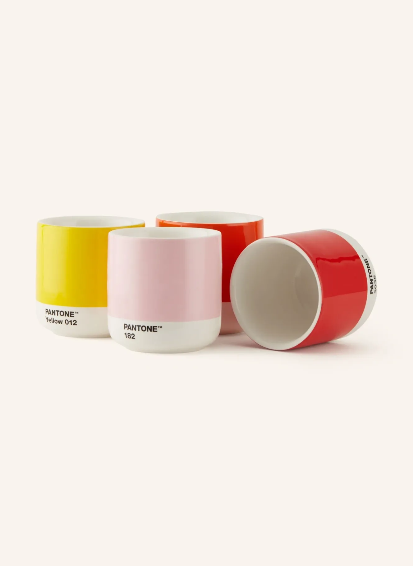 4er-Set Thermobecher CORTADO