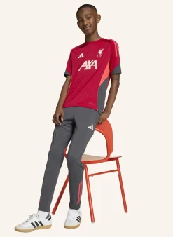 FC LIVERPOOL TIRO 25 COMPETITION TRAININGSHOSE