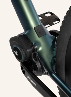 Gravel E-Bike WALDWIESEL