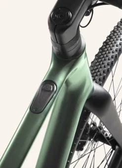 Gravel E-Bike WALDWIESEL