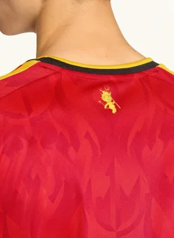 Heimtrikot BELGIEN 26 für Herren