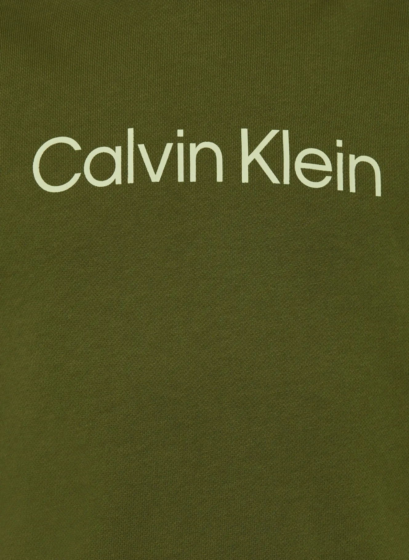 Hoodie LOGO REG
