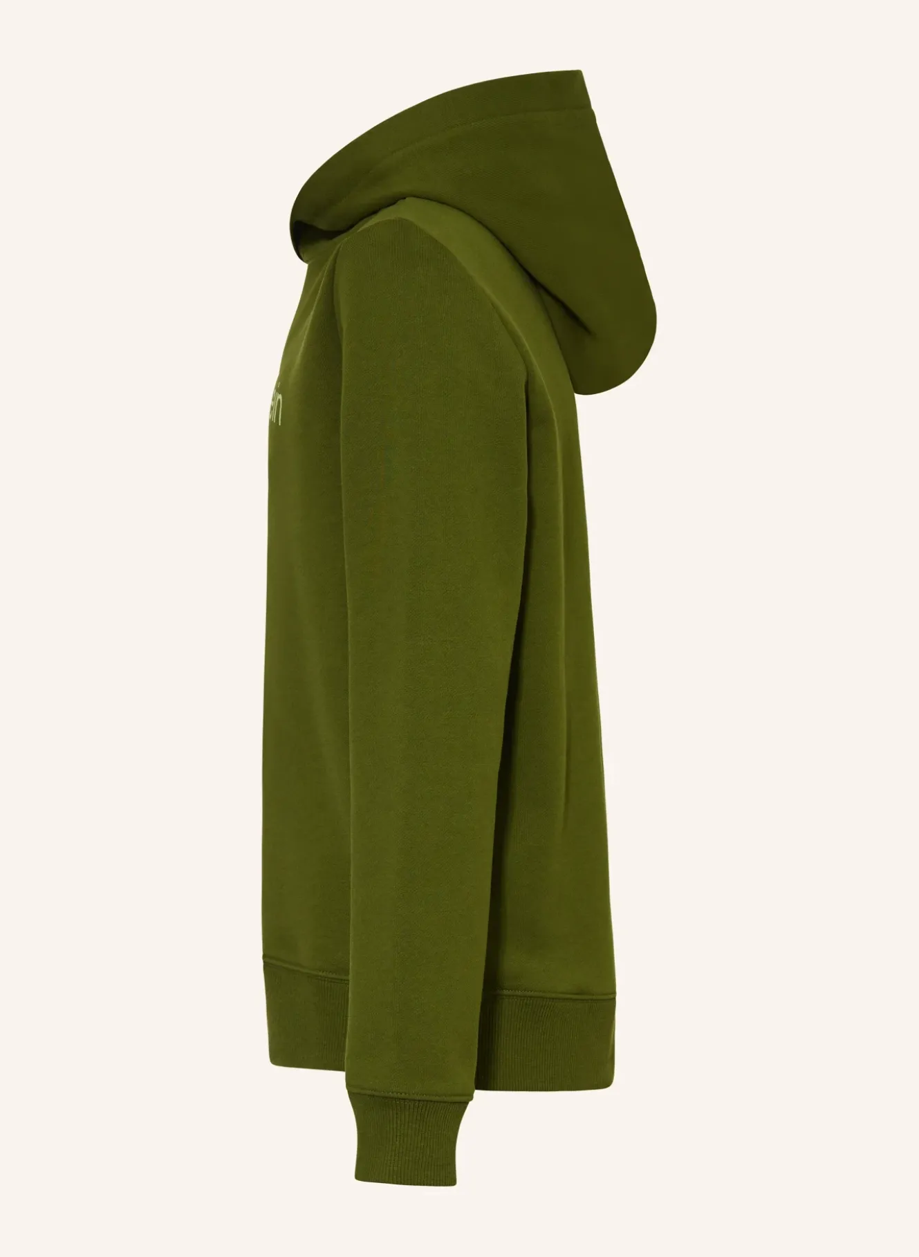 Hoodie LOGO REG
