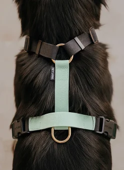 Hundegeschirr OUTDOOR FLEX