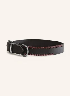 Hundehalsband PORTHOS mit Beschlag aus Edelstahl