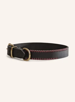 Hundehalsband PORTHOS mit Beschlag aus Messing