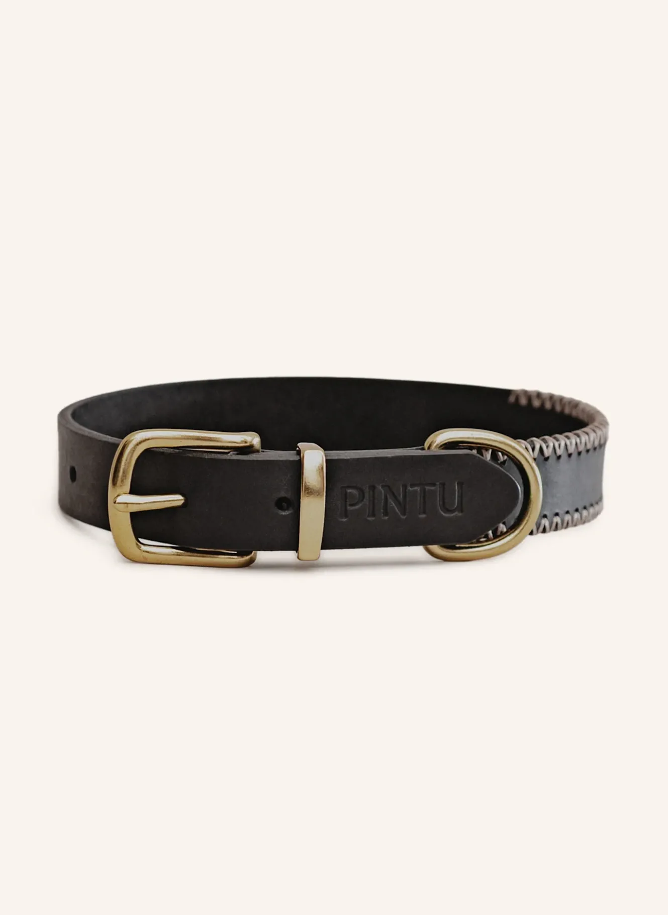 Hundehalsband PORTHOS mit Beschlag aus Messing