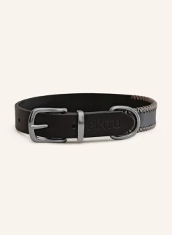 Hundehalsband PORTHOS mit Beschlag aus Edelstahl