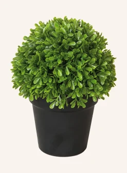 Kunstblume BUCHSKUGEL