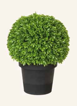 Kunstblume BUCHSKUGEL
