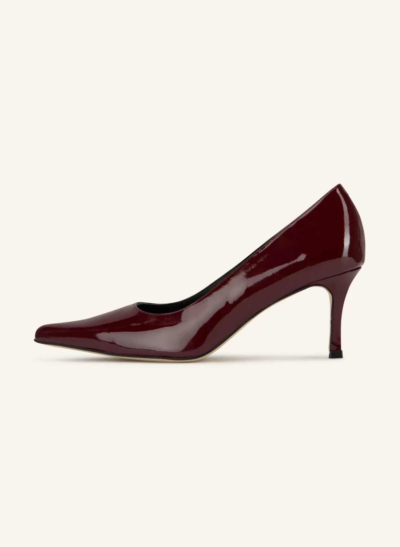 Lack-Pumps