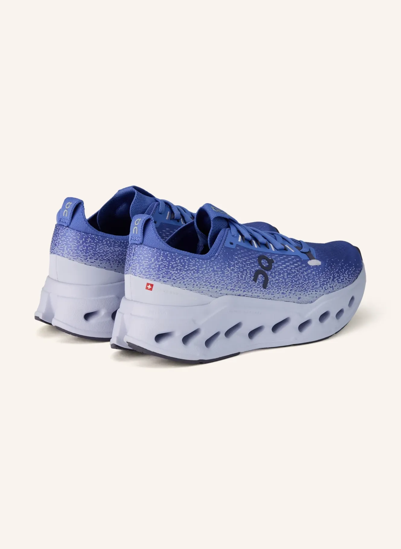 Laufschuhe CLOUDSURFER MAX