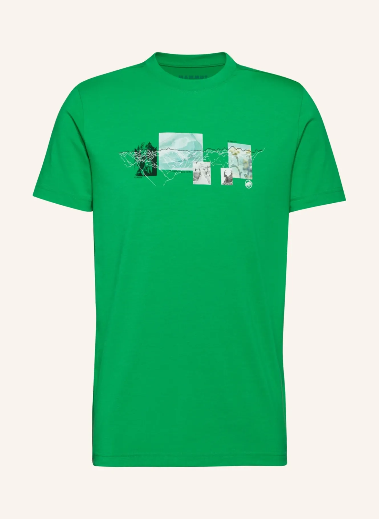 Mammut Mountain T-Shirt Men 3308m
