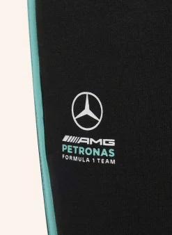 MERCEDES– AMG PETRONAS FORMULA 1 TEAM DNA HOSE