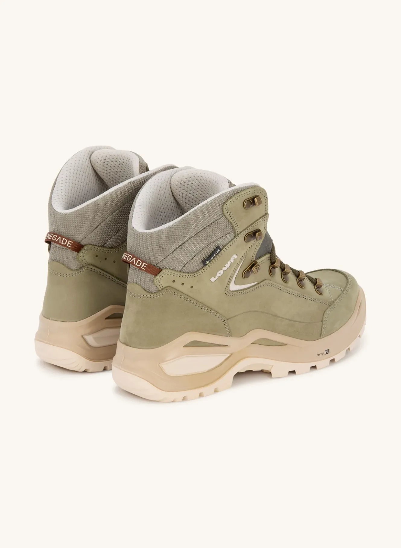 Multifunktionsschuhe RENEGADE EVO GTX MID