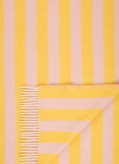 Plaid CANDY