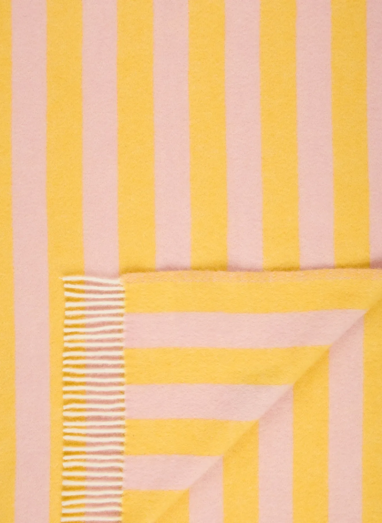 Plaid CANDY