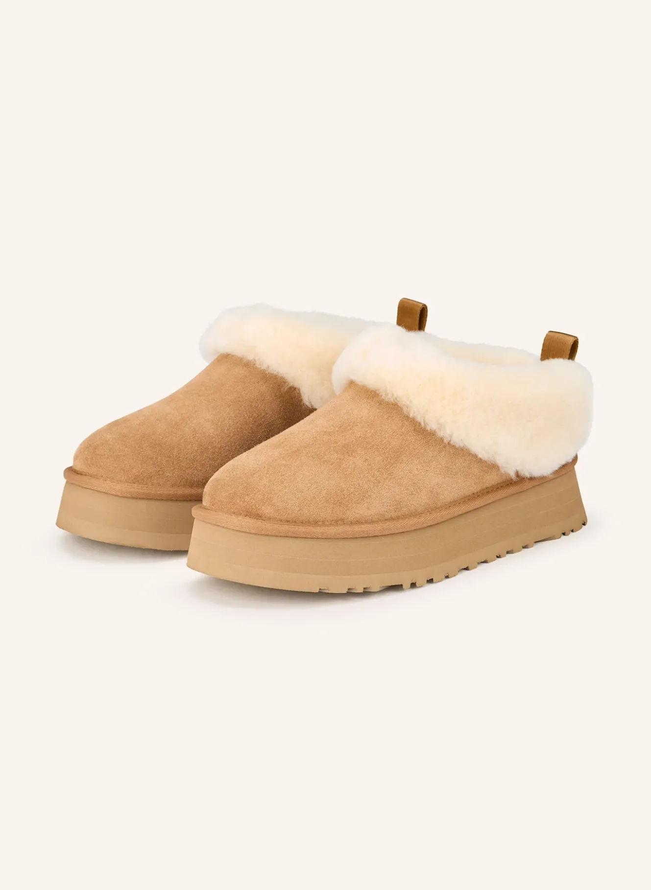 Plateau-Mules TAZZELLE