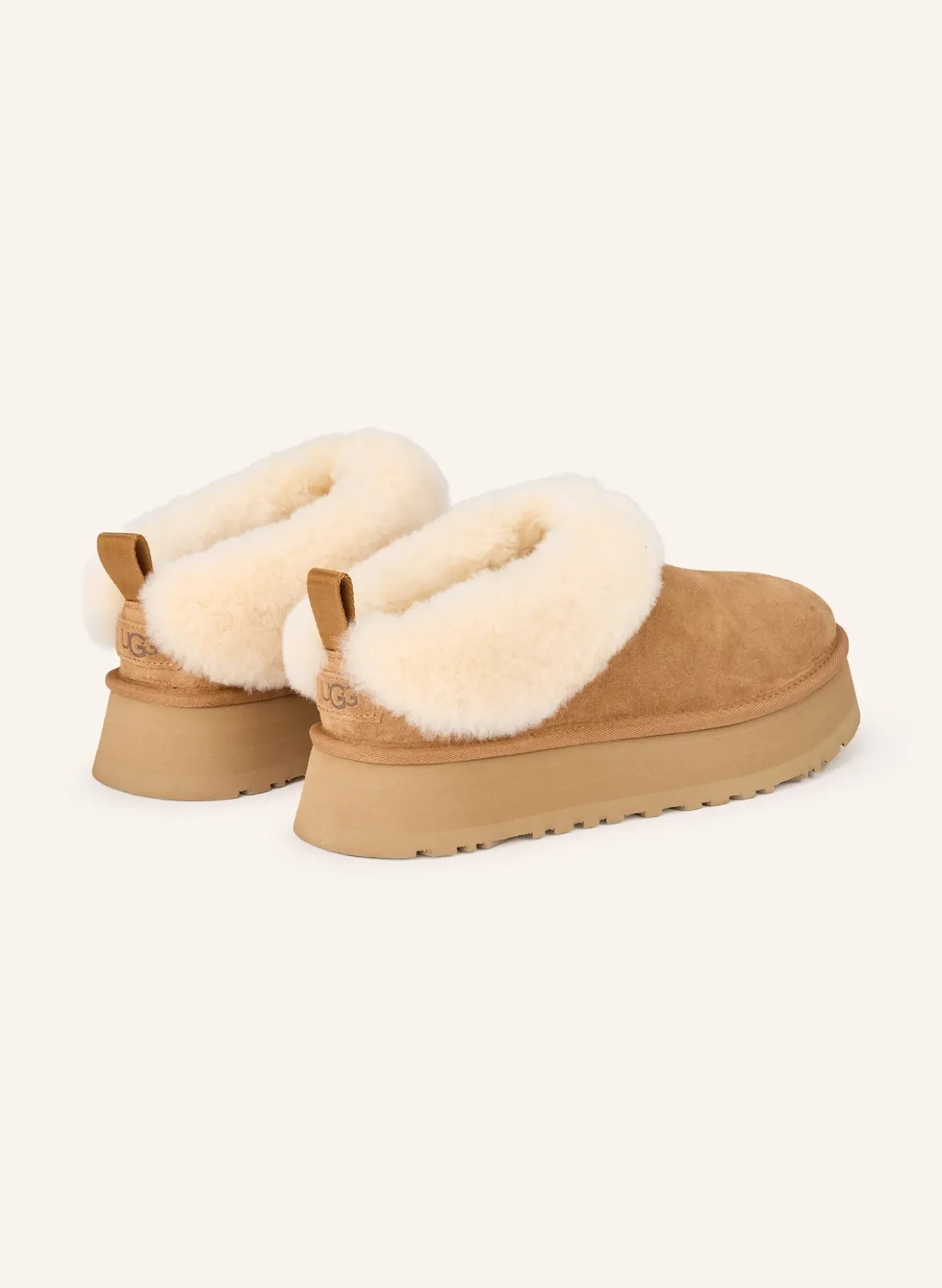 Plateau-Mules TAZZELLE