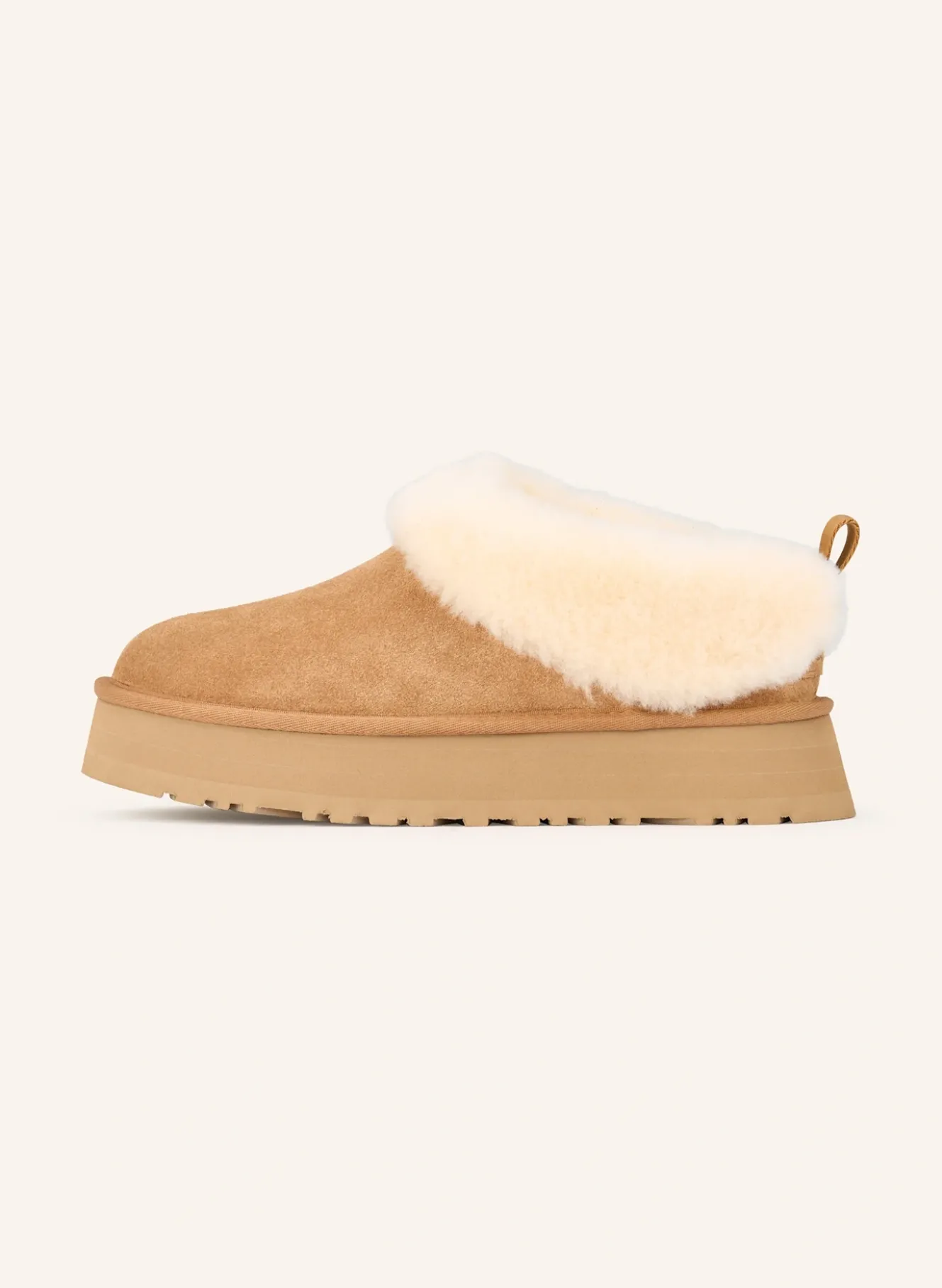 Plateau-Mules TAZZELLE