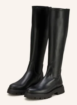 Plateau-Stiefel