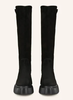 Plateau-Stiefel GLORIA