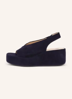 Plateau-Wedges