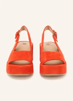 Plateau-Wedges