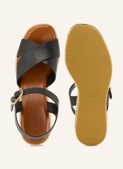 Plateau-Wedges