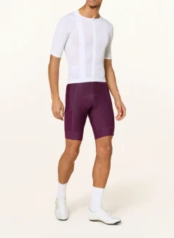 Radhose BREVET ELEMENT CARGO BIB mit Trägern und gepolstertem Einsatz