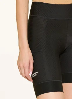 Radhose ESSENTIAL mit gepolstertem Einsatz
