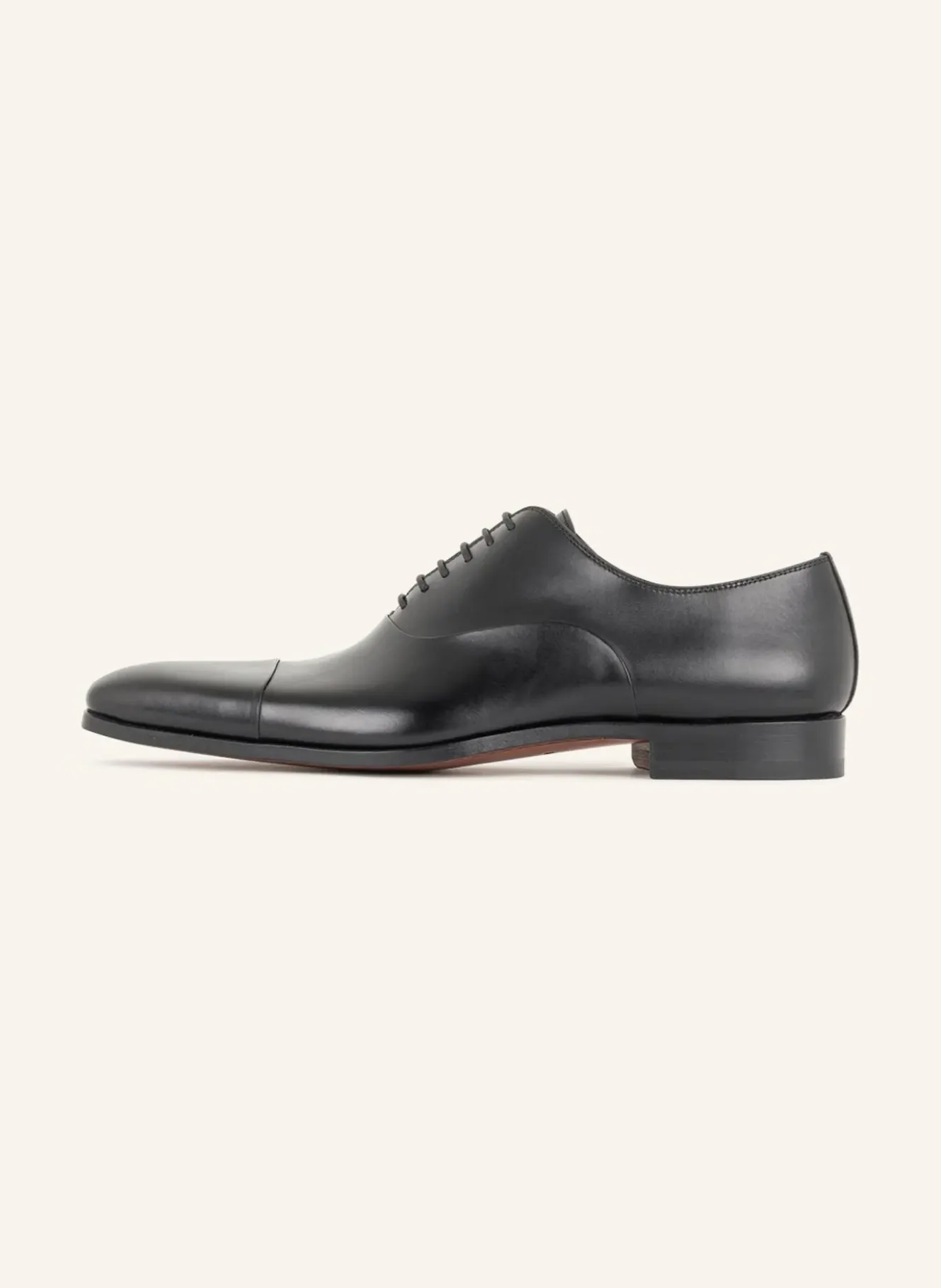 Schnürer MILOS