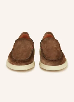 Slipper BOTANIST
