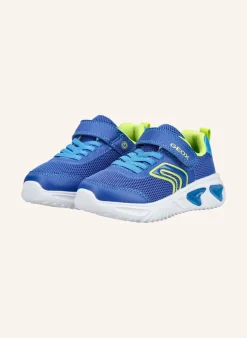 Sneaker ASSISTER B. C