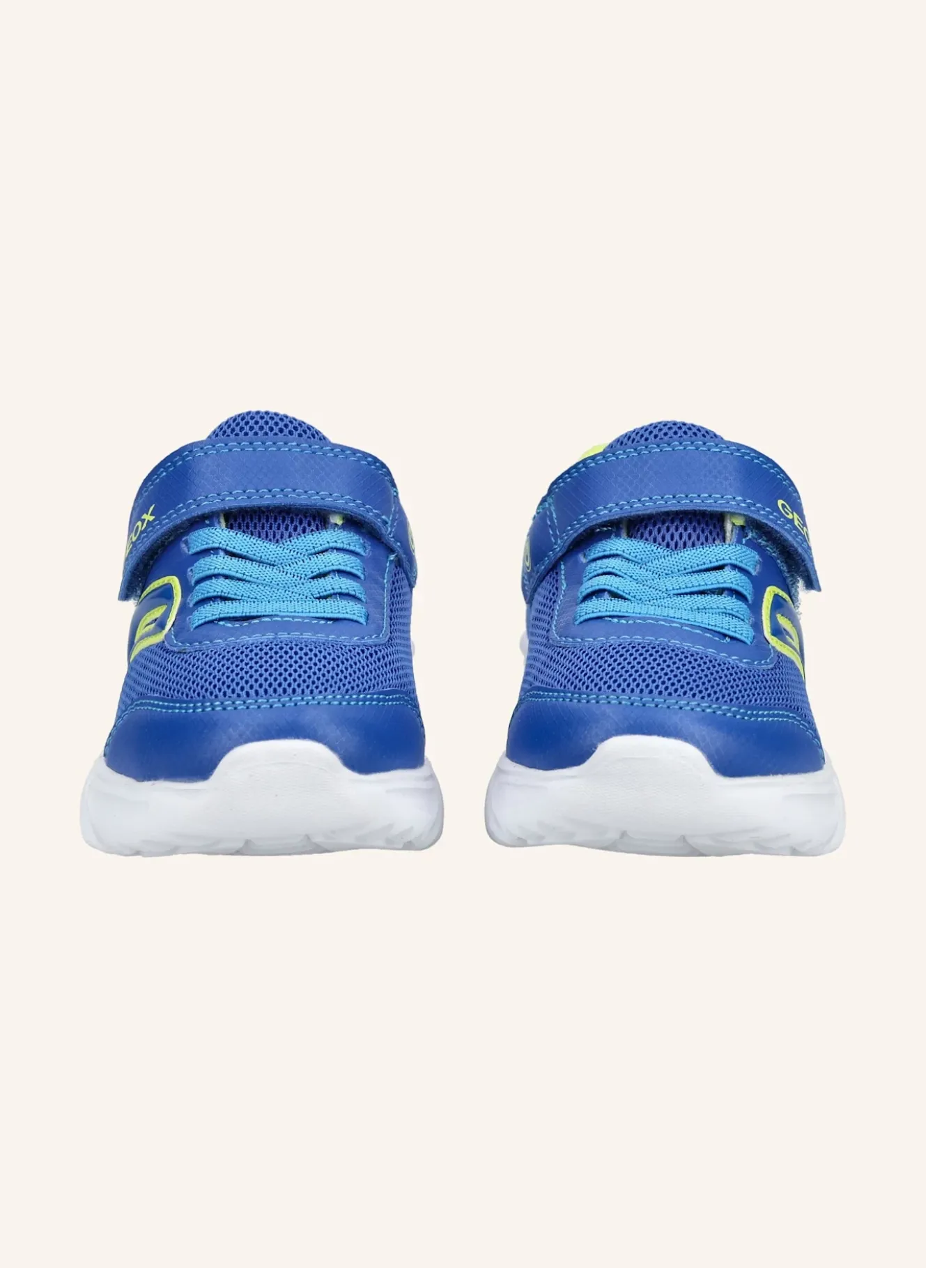 Sneaker ASSISTER B. C