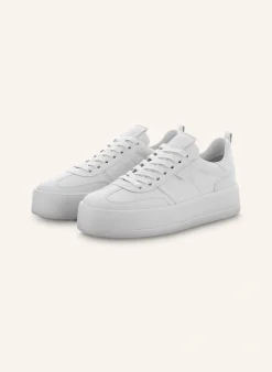 Sneaker BANG