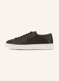 Sneaker DAMPS