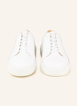 Sneaker SAMPE