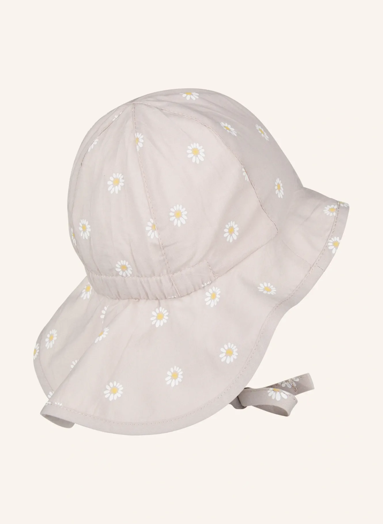 Sonnenhut Gänseblümchen