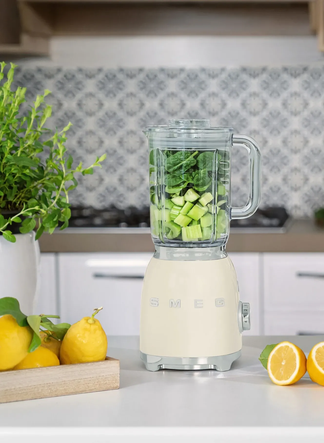 Standmixer BLF03