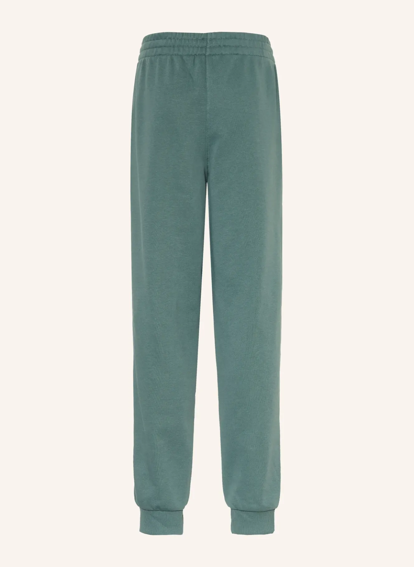 Sweatpants SPORTSWEAR CLUB