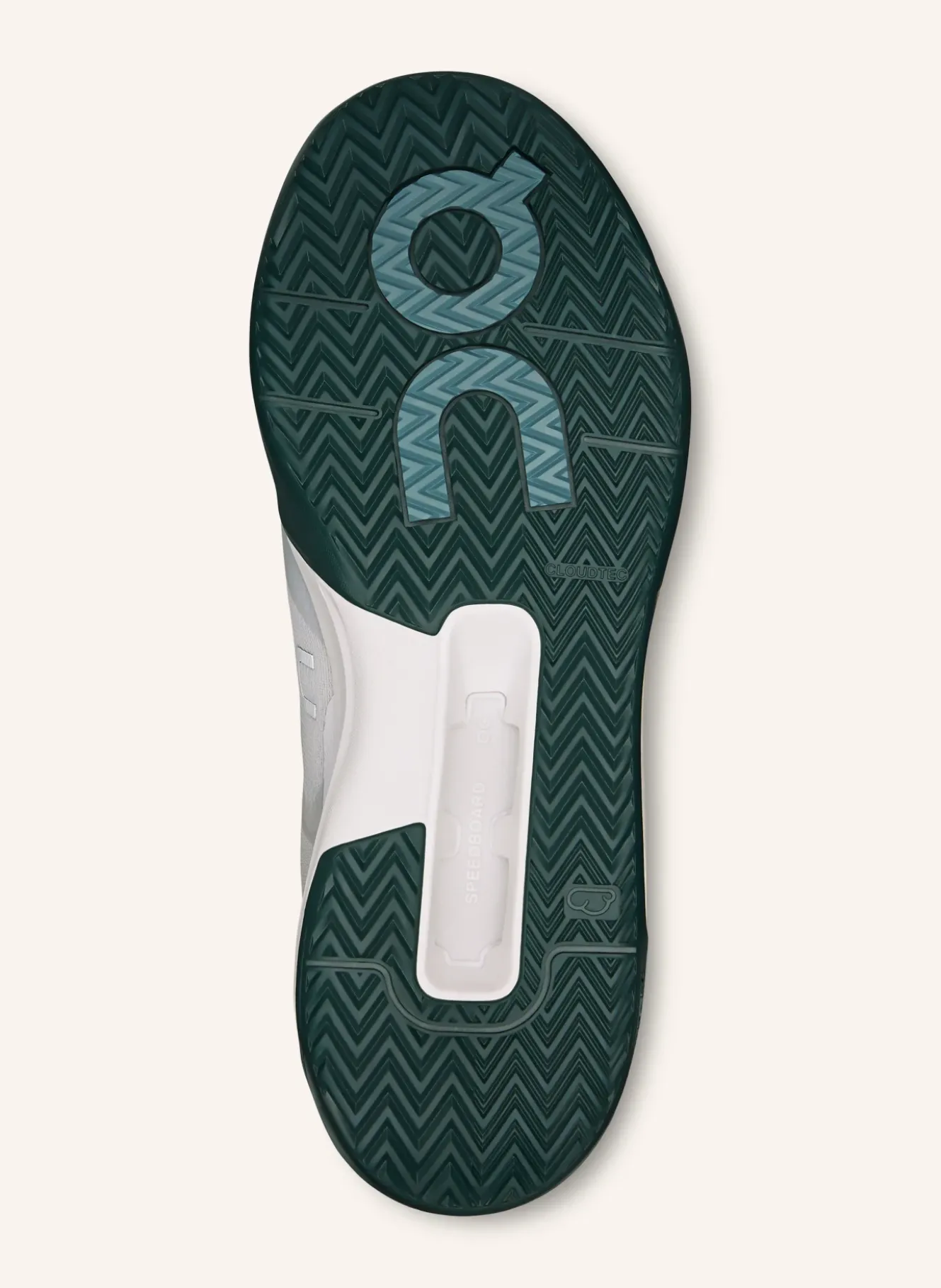 Tennisschuhe THE ROGER ADVANTAGE PRO