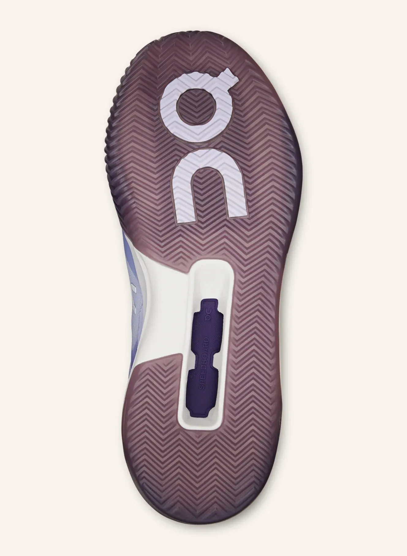Tennisschuhe THE ROGER ADVANTAGE PRO CLAY