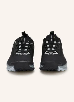 Trailrunning-Schuhe PEGASUS TRAIL 5 GTX